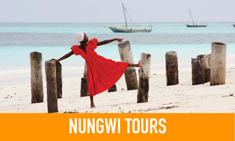 Nungwi Tours