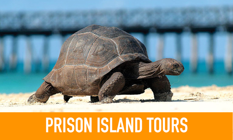 Prison Island Tours