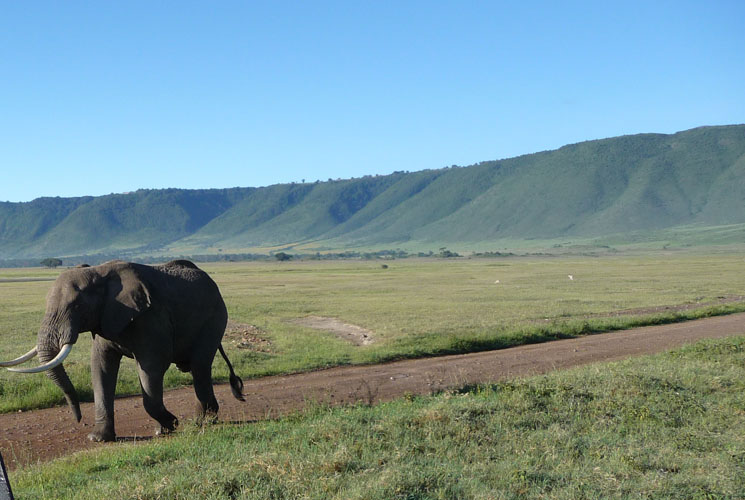 3 Day 2 Nights Last Minute Fly in Luxury Safar to Ngorongoro Crater